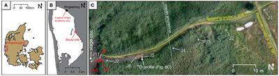 Simulation of Density and Flow Dynamics in a Lagoon Aquifer Environment and Implications for Nutrient Delivery From Land to Sea
